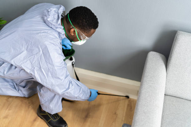 Best Pest Control for Multi-Family Homes  in Robbins, IL